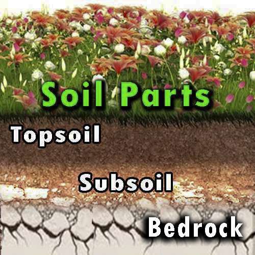 Types of soil