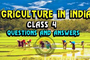 Agriculture-in-India-class-4-Questions-and-Answers-189-4492920953.jpg