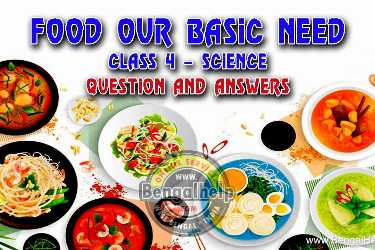 Food-our-Basic-Need-class-4---Questions-and-Answers-145-5983650196.jpg