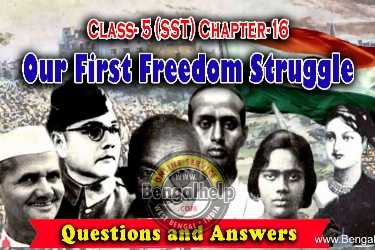 Our-first-Freedom-Struggle-Questions-and-Answers-245-8525249610.jpg