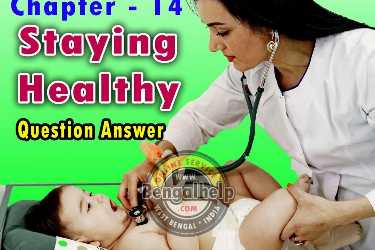 Staying-Healthy---Class-5-SST-Chapter-14-Question-Answer-240-8094308337.jpg