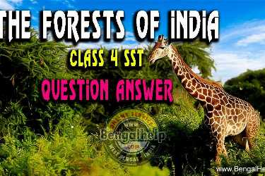 The-Forests-of-India---Class-4-(SST)---Question-Answer-146-9633407347.jpg
