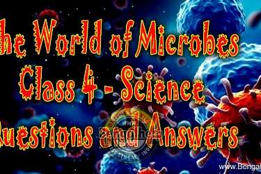 The-World-of-Microbes-Class-4---Questions-and-Answers-167-9347011697.jpg