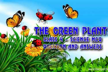 The-green-Plants-Class-4---Science-MCQ---Question-and-Answers-119-2064937522.jpg