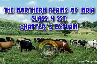 The-northern-plains-of-India---Class-4-SST---Chapter-3-explain-117-4151296680.jpg