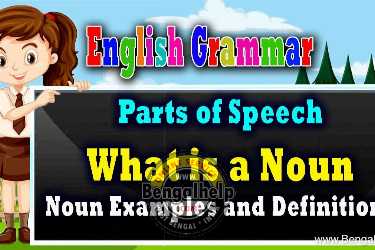 What-is-a-Noun-:-Noun-Examples-and-Definitions-170-5599727159.jpg